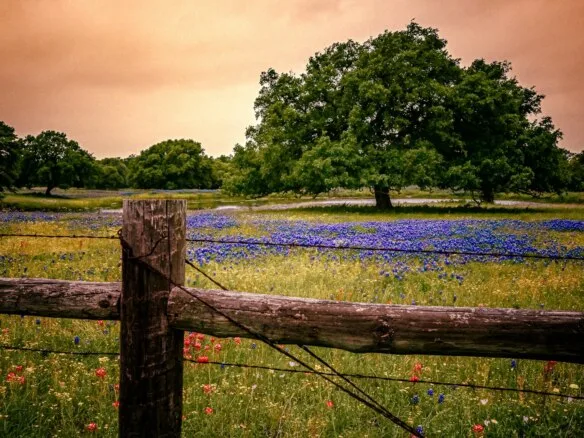 Hill Country Acreage near Boerne — Boerne, Texas 78006