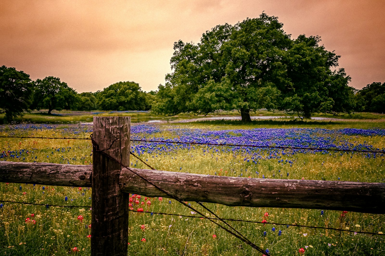Hill Country Acreage near Boerne 1 Hill Country Acreage near Boerne — Boerne, Texas 78006 — photo 1 of 3