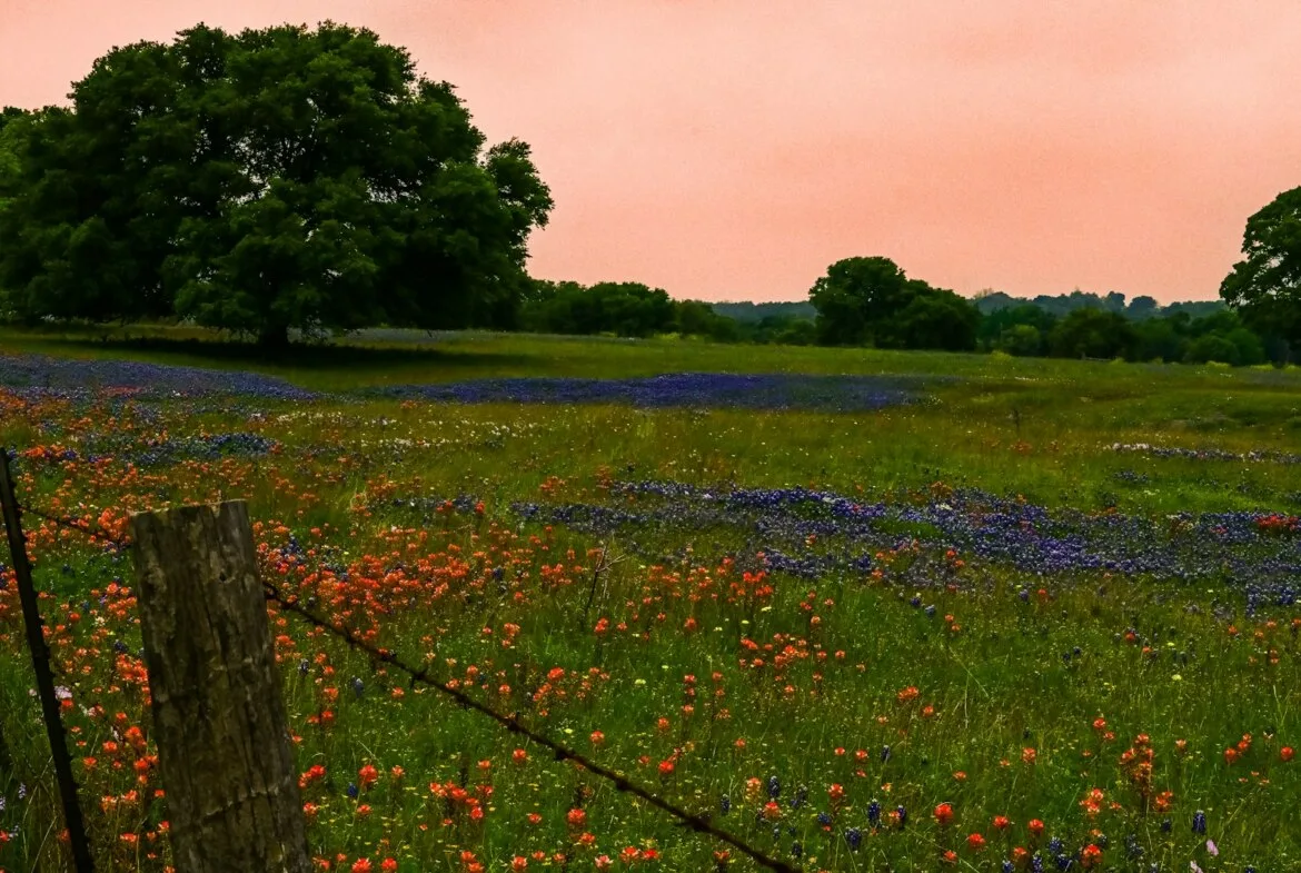 Hill Country Acreage near Boerne — Boerne, Texas 78006 — photo 2 of 3